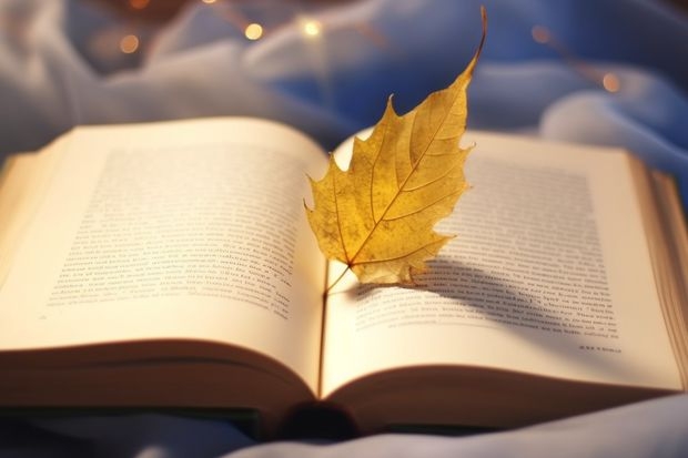 美术学专业好的211大学 美术类比较好的综合大学