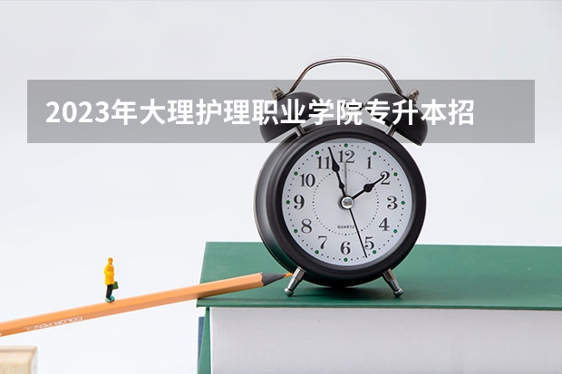 2023年大理护理职业学院专升本招生信息 大理护理职业学院排名情况