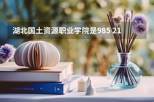 湖北国土资源职业学院是985 211学校吗 湖北国土资源职业学院学费贵不贵