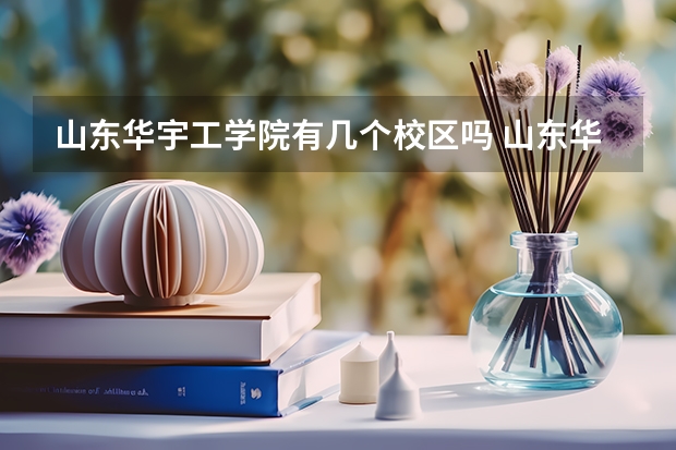 山东华宇工学院有几个校区吗 山东华宇工学院学校面积有多大