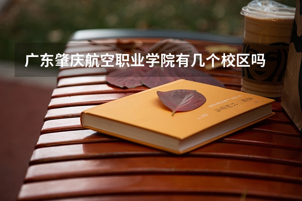广东肇庆航空职业学院有几个校区吗 广东肇庆航空职业学院学校面积有多大
