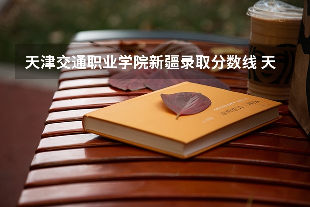 天津交通职业学院新疆录取分数线 天津交通职业学院新疆招生人数