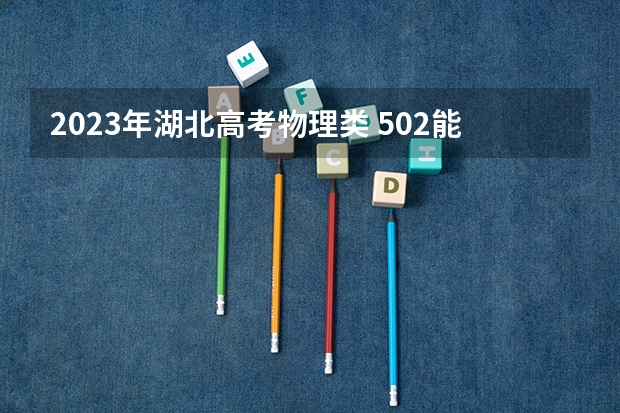 2023年湖北高考物理类 502能上什么大学