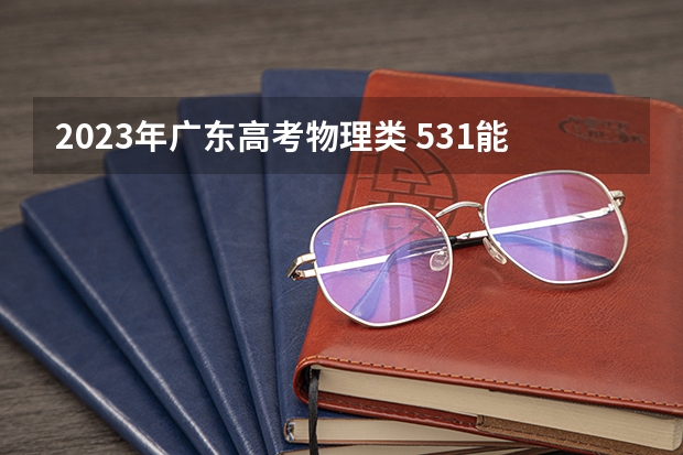 2023年广东高考物理类 531能上什么大学