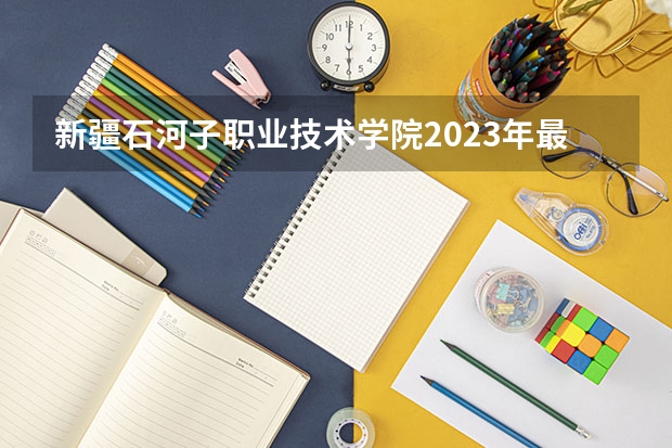 新疆石河子职业技术学院2023年最低录取分数是多少 新疆大学往年录取分数线参考
