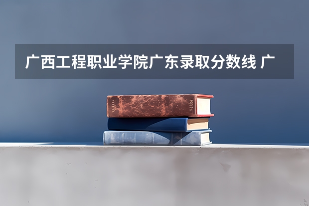 广西工程职业学院广东录取分数线 广西工程职业学院广东招生人数