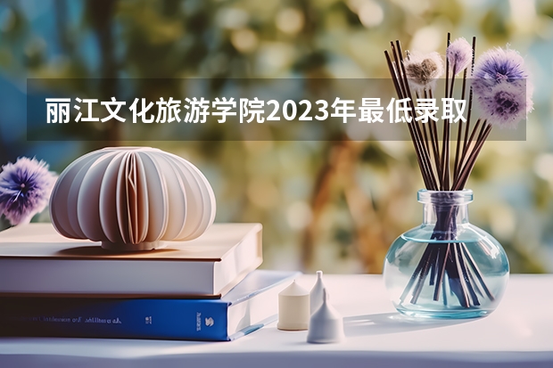 丽江文化旅游学院2023年最低录取分数是多少 云南大学往年录取分数线参考