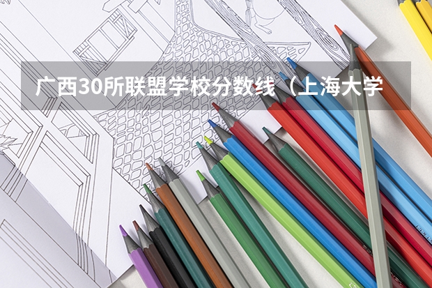 广西30所联盟学校分数线（上海大学中外合作办学分数线）