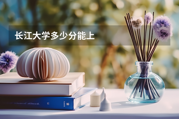 长江大学多少分能上