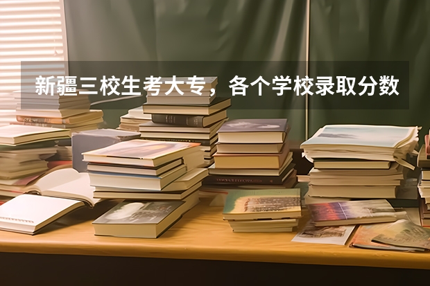 新疆三校生考大专，各个学校录取分数线是多少呀！