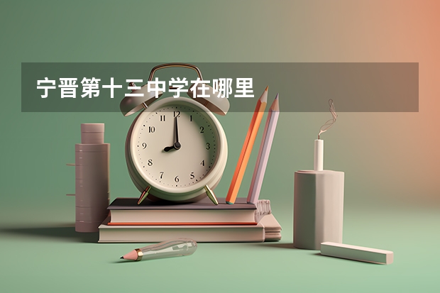 宁晋第十三中学在哪里