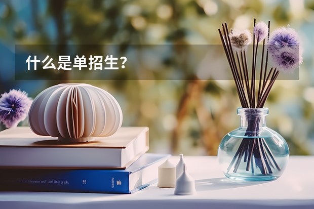 什么是单招生？
