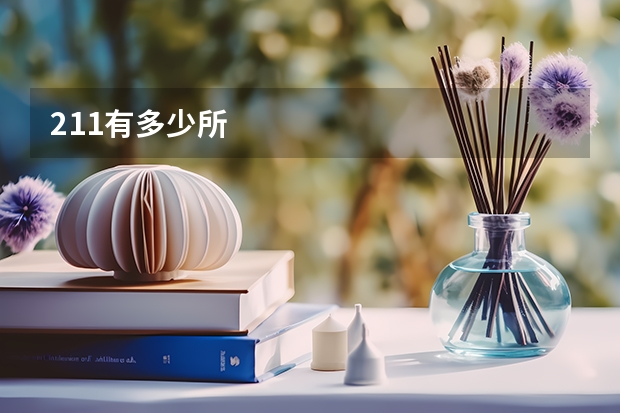 211有多少所