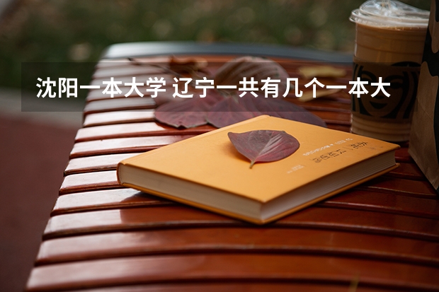 沈阳一本大学 辽宁一共有几个一本大学