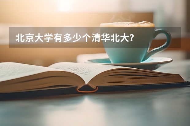 北京大学有多少个清华北大？