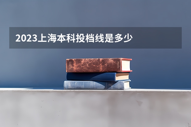 2023上海本科投档线是多少