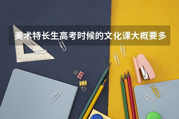 美术特长生高考时候的文化课大概要多少分？