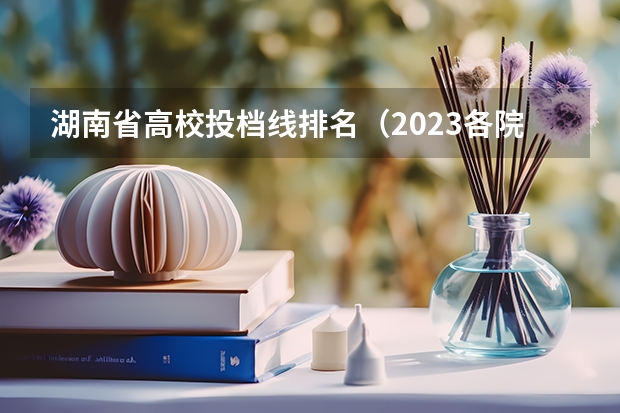 湖南省高校投档线排名（2023各院校投档分数线湖南）