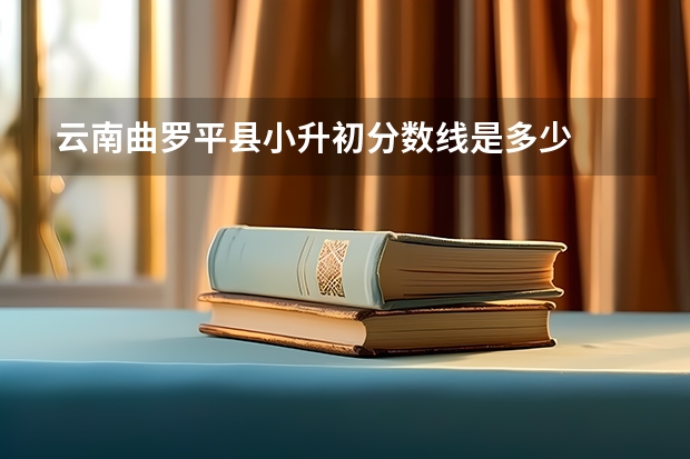 云南曲罗平县小升初分数线是多少