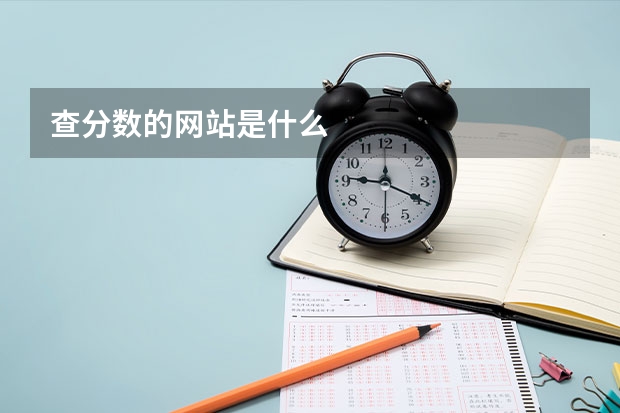 查分数的网站是什么