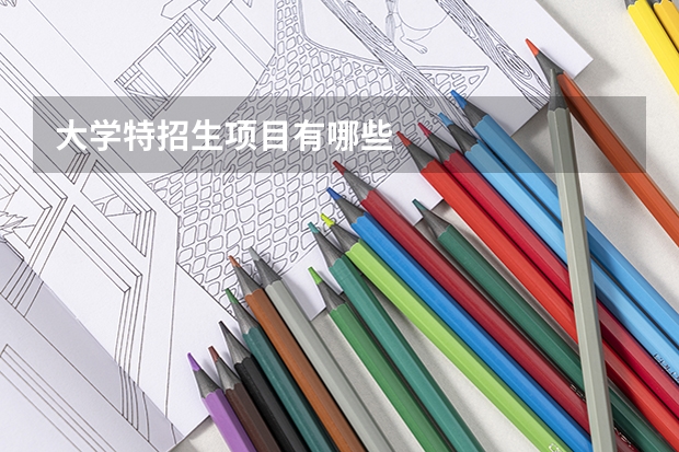 大学特招生项目有哪些