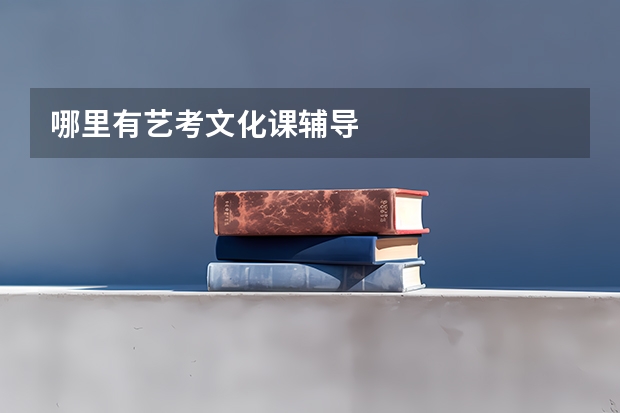 哪里有艺考文化课辅导