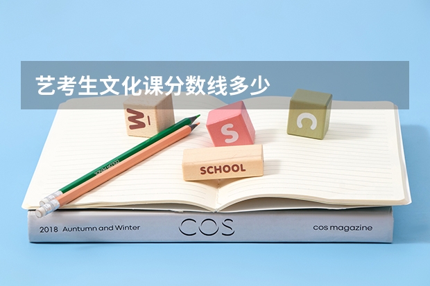 艺考生文化课分数线多少