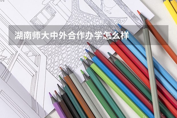 湖南师大中外合作办学怎么样