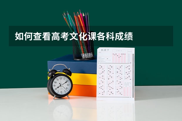 如何查看高考文化课各科成绩