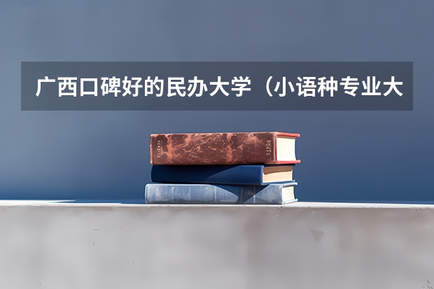 广西口碑好的民办大学（小语种专业大学排名）