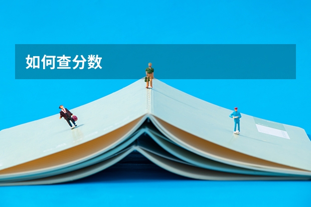 如何查分数