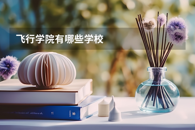 飞行学院有哪些学校