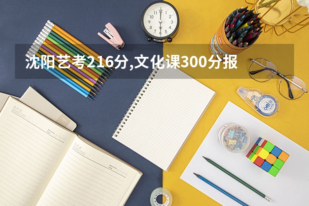 沈阳艺考216分,文化课300分报哪些学校