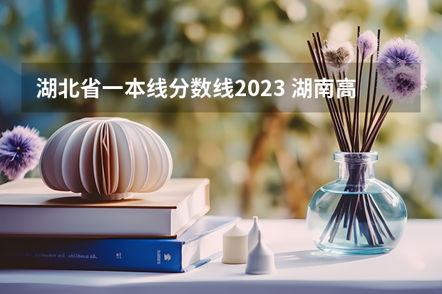 湖北省一本线分数线2023 湖南高考艺术生分数线