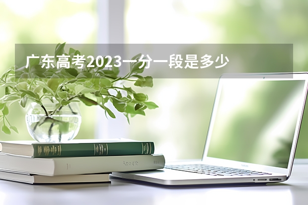 广东高考2023一分一段是多少