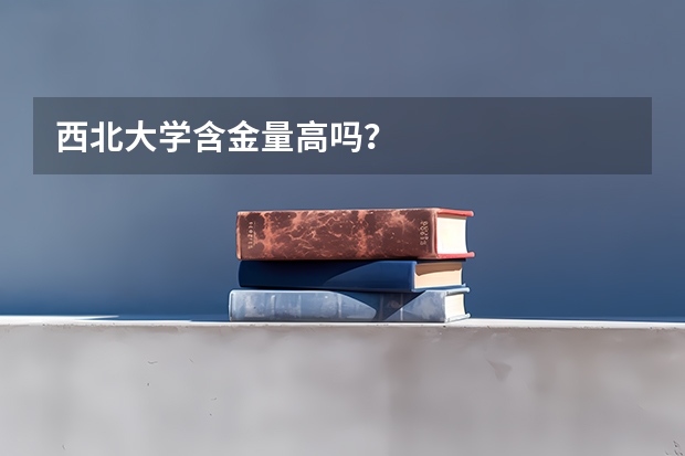 西北大学含金量高吗？