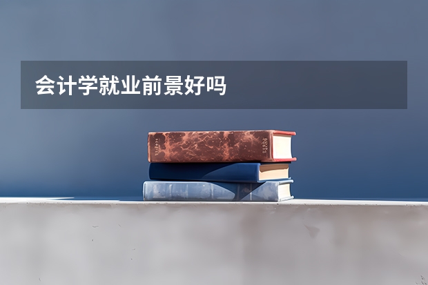 会计学就业前景好吗