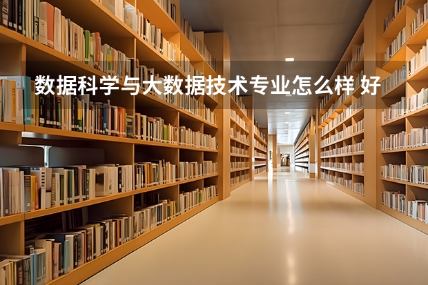 数据科学与大数据技术专业怎么样 好就业吗