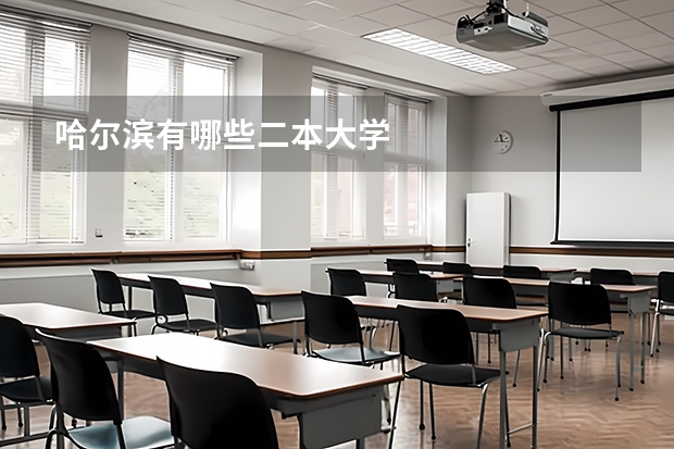 哈尔滨有哪些二本大学