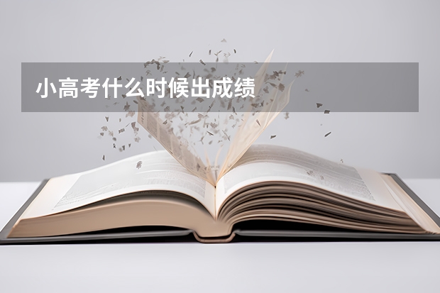 小高考什么时候出成绩