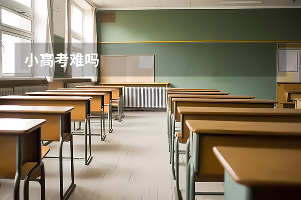 小高考难吗