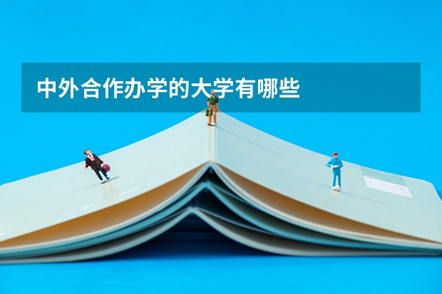 中外合作办学的大学有哪些