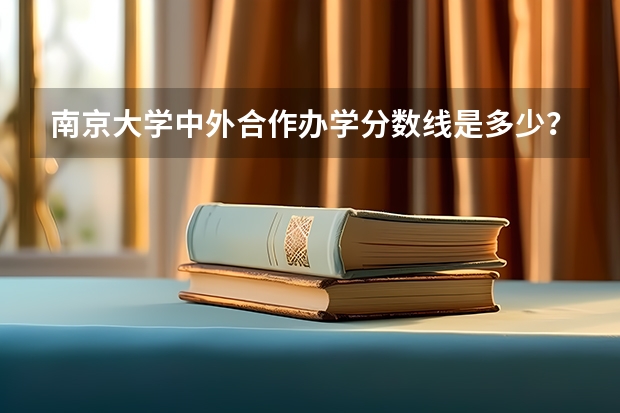 南京大学中外合作办学分数线是多少？