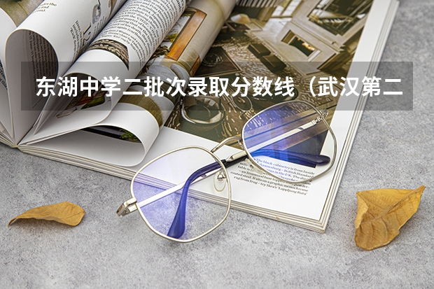 东湖中学二批次录取分数线（武汉第二批次高中录取分数线）