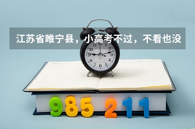 江苏省睢宁县，小高考不过，不看也没过，能不能拿到毕业证 徐州一级建造师考点一般都在哪几个学校