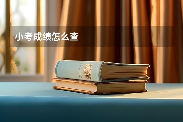 小考成绩怎么查