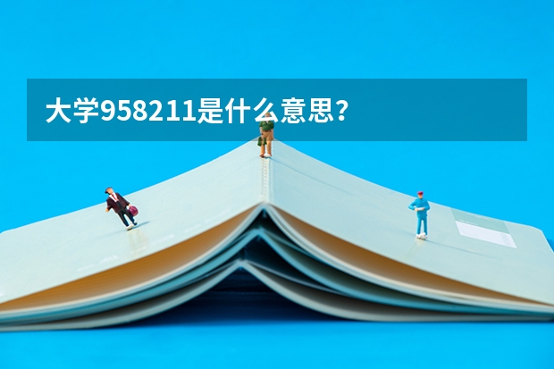 大学958211是什么意思？