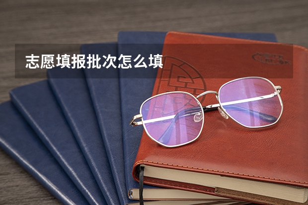 志愿填报批次怎么填