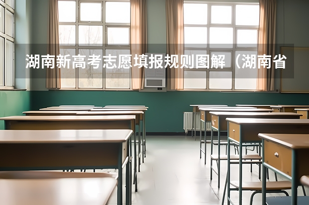 湖南新高考志愿填报规则图解（湖南省本科提前批可以填几个志愿）