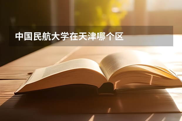 中国民航大学在天津哪个区